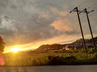 24005