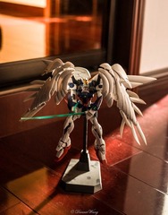 未命名-0056.jpg