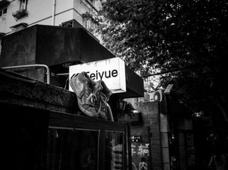 20130803-R0010292-1.jpg