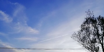 520015