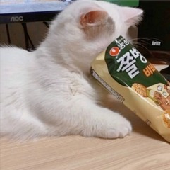 527020