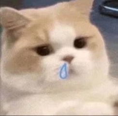 527007