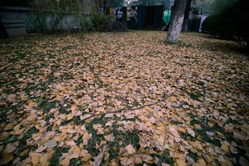 原始6-2533-2.jpg