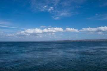 _DSF0171