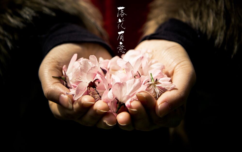 落花有意<br />
