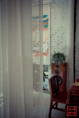 IMG_7909.jpg