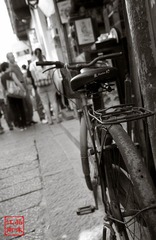 IMG_7932-2.jpg