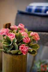 IMG_7992.jpg