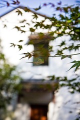 IMG_8715.jpg