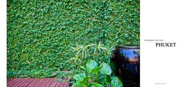 IMG_1114.jpg