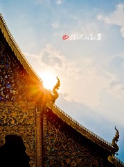 IMG_1817.jpg