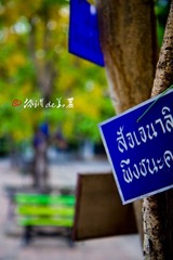 IMG_1834.jpg