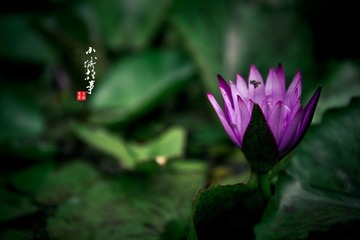 IMG_1441.jpg