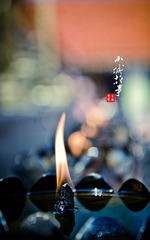 IMG_1478.jpg