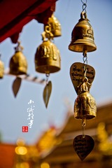 IMG_1522.jpg