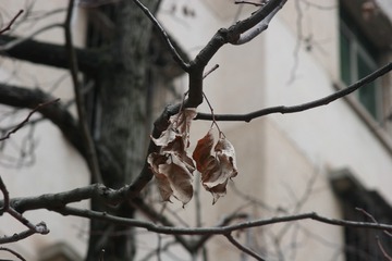 59767302-F1EB-4E2F-B48C-8FCAF32F9E51/L0/001