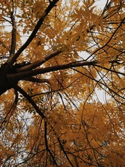 544254C1-DB05-4DC7-A310-C2E0303031E0/L0/001