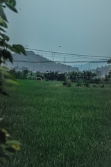 037D15B2-53BE-4E3D-88C9-51259B7D8261/L0/001