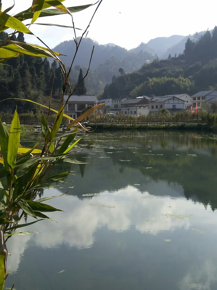 泸州市古蔺县白沙镇图片