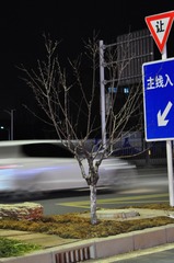 4202904F-DFA7-490B-B620-E7C5A6A0EC47/L0/001