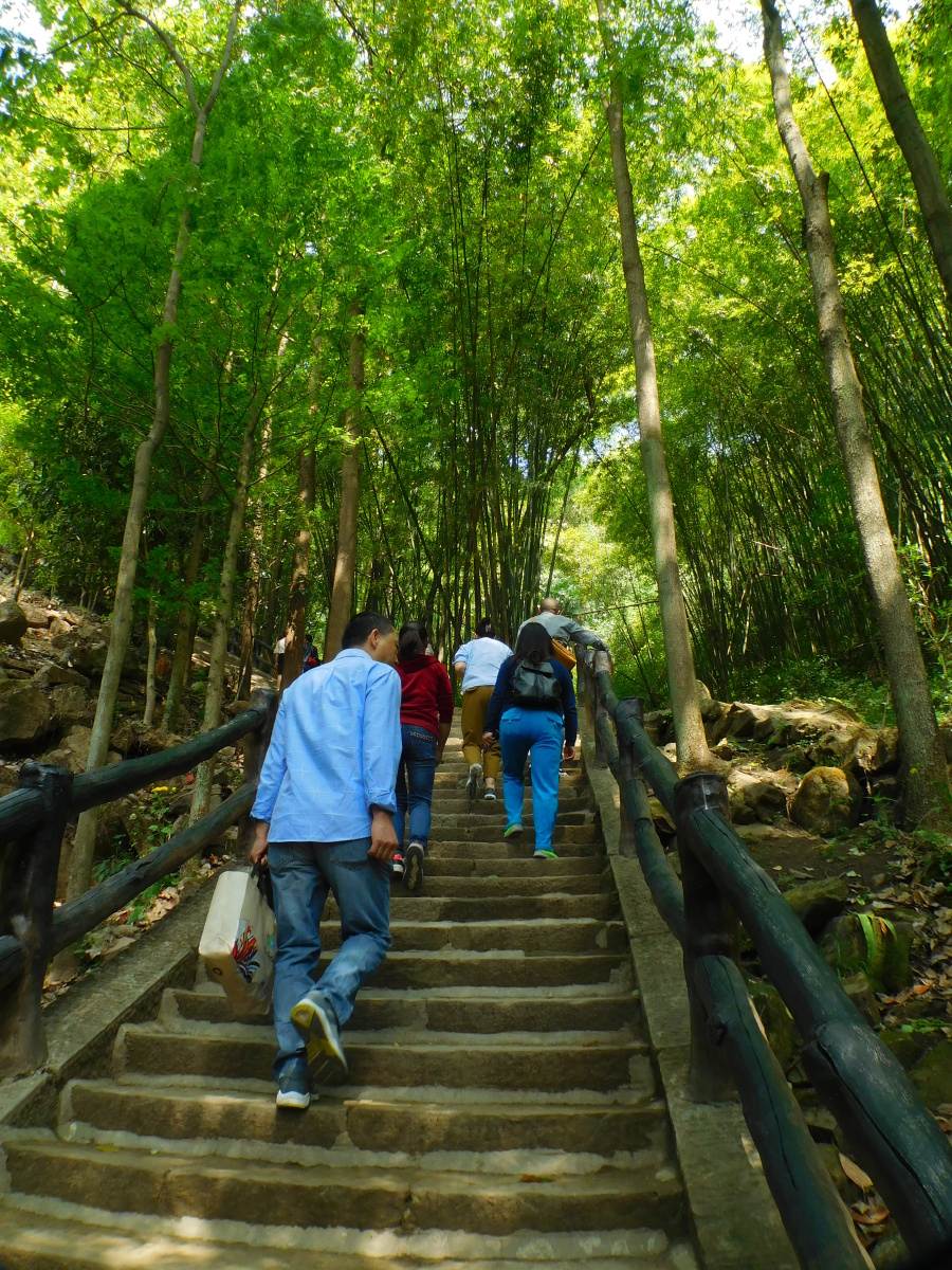 与亲朋好友登山游玩