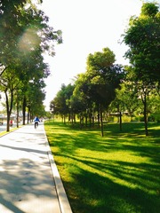 夏日午后