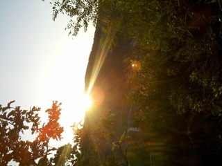 C360_2012-09-16-06-05-10(1)