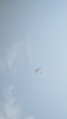 1000256123
