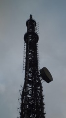 1000256141