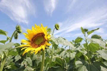 IMG_4033.JPG