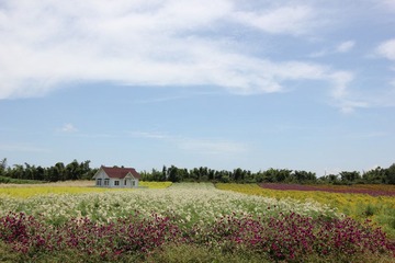 IMG_3972.JPG