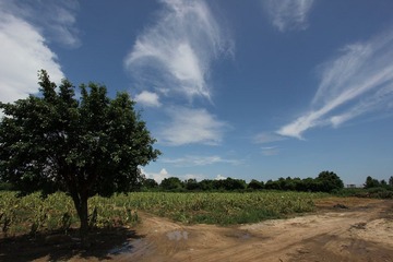 IMG_4057.JPG