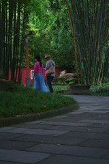 6DFEE5C7-5A9E-4E77-8341-E919BF58FA96/L0/001