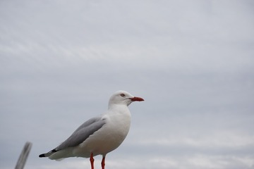 8415