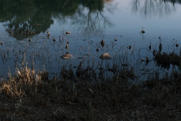 1AFF6692-4CD8-403F-A799-54EE48F312DC/L0/001