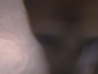 A0485131-3943-44E7-8F55-0F4A62E3BF5C/L0/001