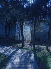 1774561