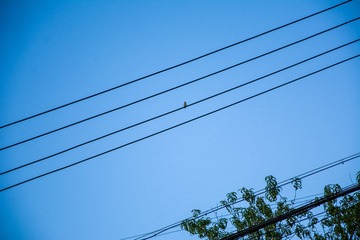 71627