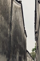 1000053385