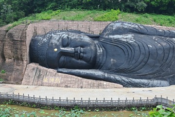 1000063778