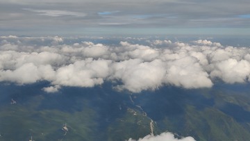 1000074443