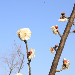 8B1D9CA2-DED8-4A16-86C6-3AB03DBDB6DC/L0/001
