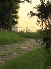 8F85094B-2686-44BA-96DF-0D799C826535/L0/001