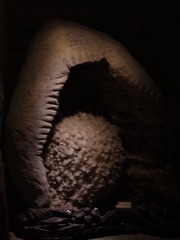 1000008381