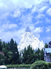 1000008814