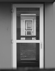 DSC00009.jpg
