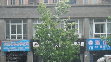 DSC01511.JPG