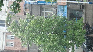 DSC01512.JPG