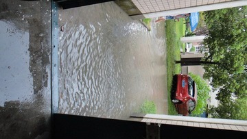 DSC01553.JPG