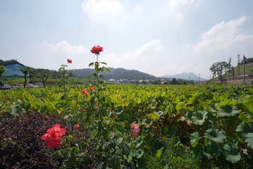 13EA08DF-EE29-4D98-8C79-9358A0D7E937/L0/001